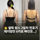 별2 | 육아맘 다이어트 성공! 팔뚝 람스 2개월차 후기, 주차별 인바디 수치와 바본 변화 총정리