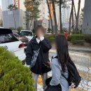 연두약국 | 홍콩 여행 day1ㅣ흐린 4월의 침사추이 코스, 구룡공원 홍학