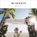 탐모라종합광고