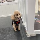 뭉치쌀롱 이미지