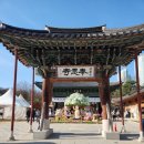 매머드익스프레스불광혁신파크점 | 꽃이 져서 아쉬운 직장인(25.3.25.~3.30.)(feat.봉은사 홍매화, 불광①또디저트②바겔)