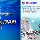 팀베스트 최고 체육관<키즈> | 생존수영 정규반 운영(초급반)