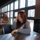 은진공인중개사사무소 이미지