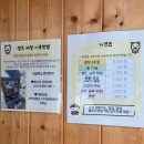 [반려견단독마당/포동멍래블] 세종 마당대여 &#39;예쁜컨테이너가있는마당&#39; 재방문 후기:)
