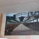 통일한우농장 이미지