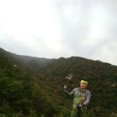 메아리 - 창원시 마산합포구 삼진의거대로 438-27 | 메아리