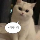 그녀 다이어트하다.(82) 5월 5일~5월 9일