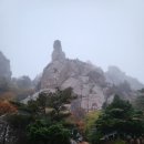 설악산 봉정암 후기