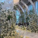 광진기계 | 건대 광진구 웨딩홀 까사그랑데 센트로 밝은 홀, 뷔페 시식 후기