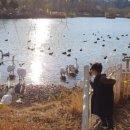 순천만국가정원 에코지오카페 이미지