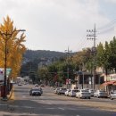 삼성연세산부인과의원 이미지