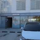 퍼플 스왈로우 이미지