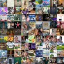 인기 블로그 포스팅 모음: 매일 상위 랭크의 인기 블로그 게시글 모아! (2025.07.07 17:16)