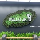 실패/성산일출봉/섭지코지/백약이오름/제주농원/정가네 연탄구이/성산 해안도로/1100고지/애월하나로마트