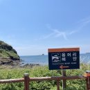 슭하우스 | 용머리해안, 제주 고로, 서쪽가게, 수풀, 메리아일랜드,한림 소품샵, 둘레길 협재금능점, 슭하우스