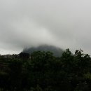 이주의정원 이미지