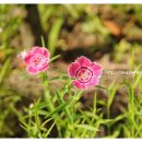 안현농장 이미지