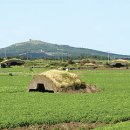 상모리-20 이미지