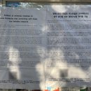 고려대서 이스라엘 협력 중단 촉구 집회… “학살 지원 말아야” 이미지