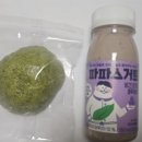 강화쑥마을