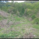 인안2리마을회관 이미지