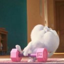 원 피티 | 대전둔산동헬스장 새벽까지 하는 원클래스피티 PT후기