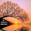 아름다운삶 이미지