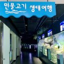 효가사거리 버스정류장 이미지