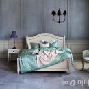 프란시스 머니투데이