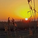 김박사약국 이미지