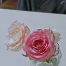 송이 | 감성 생화꽃다발로 완성하는 따뜻한 선물, 조이풀플라워 장미한송이 후기