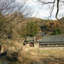 성흥사 - 1889 | 성흥사