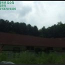 상동천교