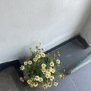 하기에프에스