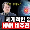 B.B3 이미지