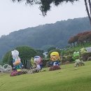 회산백련지 잔디광장 이미지
