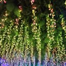 아이스크림 유니버스 | 대전오월드 플라워랜드 야간개장 나이트 유니버스 불꽃놀이