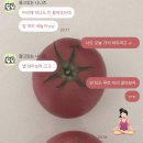 KOICA 프로젝트 봉사단 4기 영월 코이카 빌리지 합숙 1주차 일기