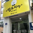 멍토피아 | [여수 카페] 여수 실내 애견카페 ‘멍토피아’ 애견호텔, 미용, 애견놀이방