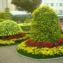 한마음광장 이미지