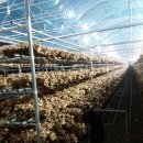 김주용농장 이미지