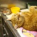 잠실3동주민센터 이미지