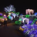 별빛정원B 이미지