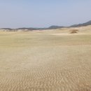 사구센터 전시실 이미지