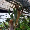 미륵산농장 이미지