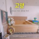 천일어린이집 | 고양 아이랑 키즈풀 마이오조 워터룸 천일 기념 방문 후기