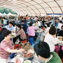 장전천1 이미지