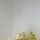 타이타닉 | 인테리어 포스터 추천 슈렉터 A4 영화포스터 어바웃타임 타이타닉 포스터 후기