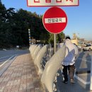 낙산어촌계 화장실 이미지