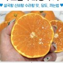루트빈 이미지